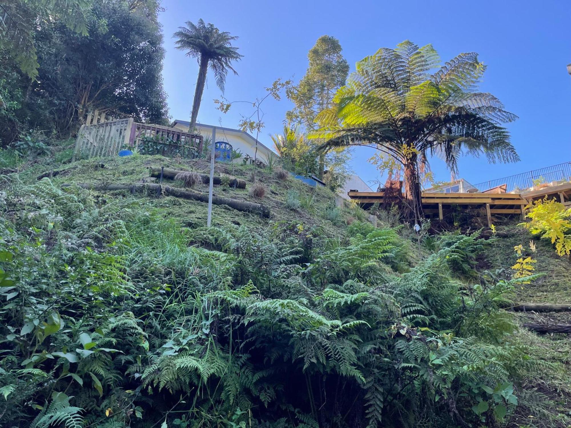מלון המילטון Gully Retreat מראה חיצוני תמונה