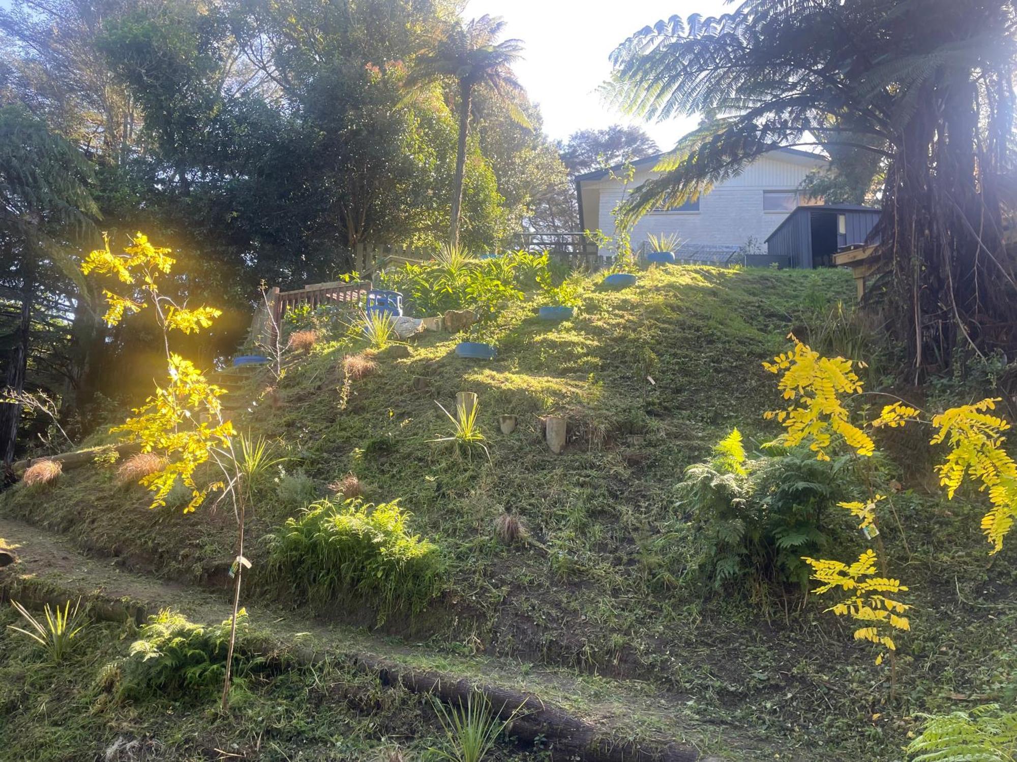 מלון המילטון Gully Retreat מראה חיצוני תמונה